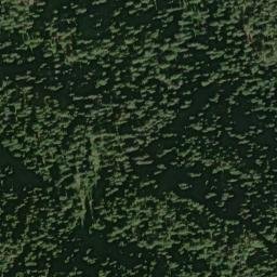 Satellite imagery of Cowlitz Divide, US