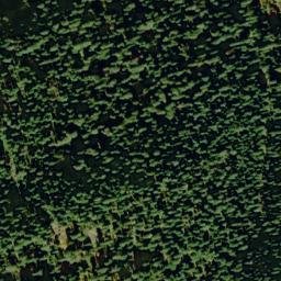 Satellite imagery of Mush Point, US