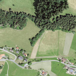 Satellite imagery of Egg, CH