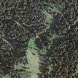 Satellite imagery of Höchst, CH