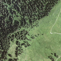 Satellite imagery of Höchst, CH