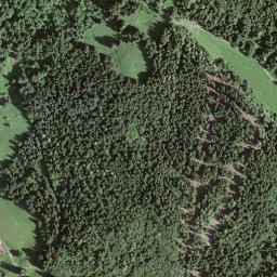 Satellite imagery of Hirendli, CH