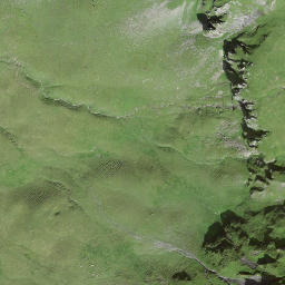 Satellite imagery of Fruttli, CH