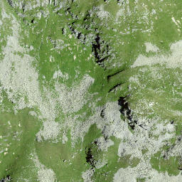 Satellite imagery of Piz Ner, CH
