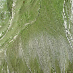 Satellite imagery of Wasmengrat, CH