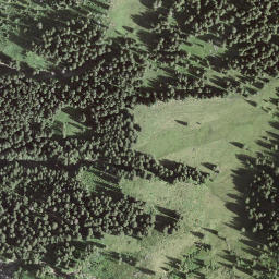 Satellite imagery of Höchst, CH