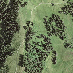 Satellite imagery of Höchst, CH