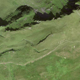 Satellite imagery of Fruttli, CH