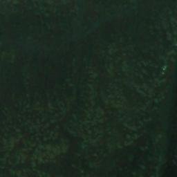 Satellite imagery of Brandegga, CH