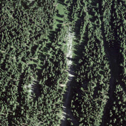 Satellite imagery of Il Clauter, CH