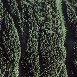 Satellite imagery of Il Clauter, CH