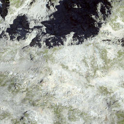 Satellite imagery of Piz Curtinatsch, CH