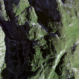 Satellite imagery of Piz da Gliasen, CH