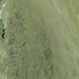 Satellite imagery of Piz da Gliasen, CH