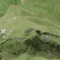Satellite imagery of Leitistöck, CH