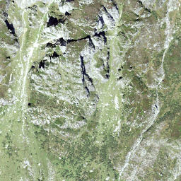 Satellite imagery of Balmenstock, CH