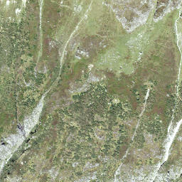 Satellite imagery of Balmenstock, CH