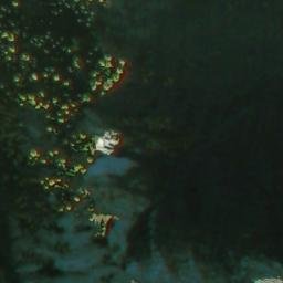 Satellite imagery of Dutjer Horn, CH