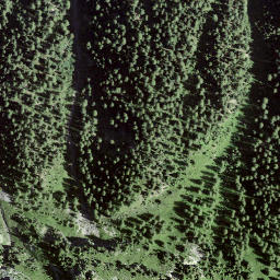 Satellite imagery of Il Clauter, CH