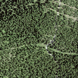 Satellite imagery of Motta Jüda, CH