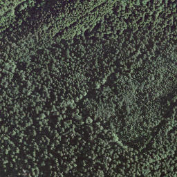 Satellite imagery of Montagne de la Caffode, CH