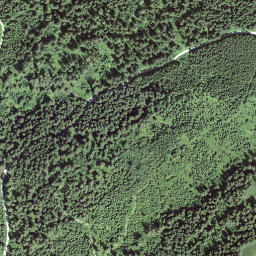 Satellite imagery of Obere Gurnigel, CH