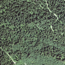 Satellite imagery of Obere Gurnigel, CH
