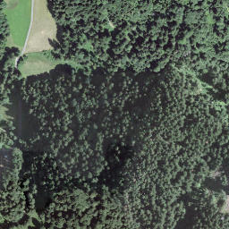 Satellite imagery of Bramberg, CH