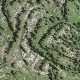 Satellite imagery of Schijeflue, CH
