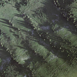 Satellite imagery of Blasenhubel, CH