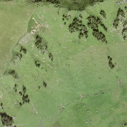 Satellite imagery of Leitistöck, CH