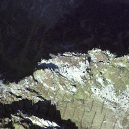 Satellite imagery of Witenstock, CH