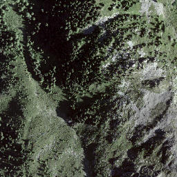 Satellite imagery of Piz Giarsinom, CH