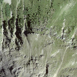 Satellite imagery of Piz Giarsinom, CH