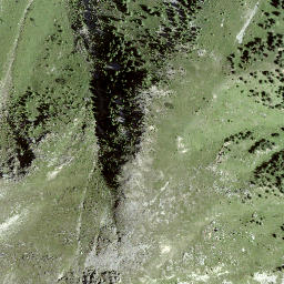 Satellite imagery of Piz Giarsinom, CH