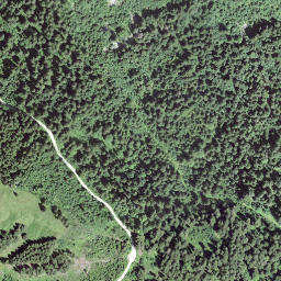 Satellite imagery of Obere Gurnigel, CH