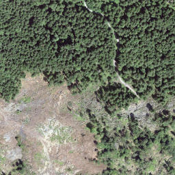Satellite imagery of Goldegg, CH