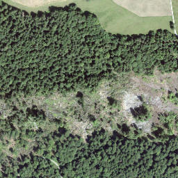 Satellite imagery of Goldegg, CH