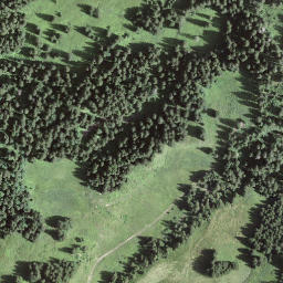 Satellite imagery of Mäscherchopf, CH