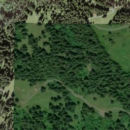 Satellite imagery of Leitistöck, CH