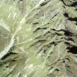 Satellite imagery of Witenstock, CH
