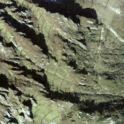 Satellite imagery of Witenstock, CH
