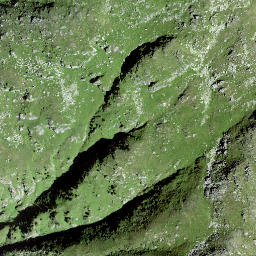 Satellite imagery of Piz Schigels, CH
