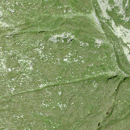 Satellite imagery of Piz Schigels, CH