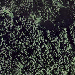 Satellite imagery of Mot Nair, CH