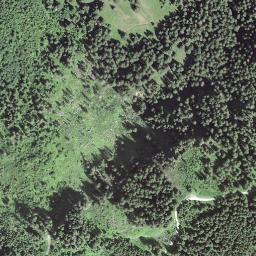Satellite imagery of Egg, CH