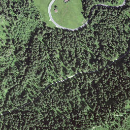 Satellite imagery of Egg, CH