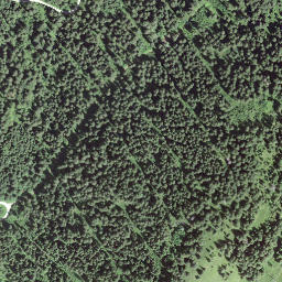 Satellite imagery of Luterbüel, CH