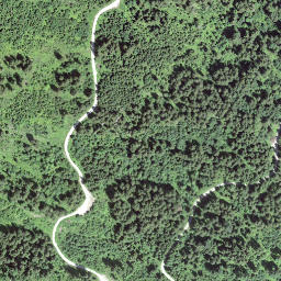 Satellite imagery of Obere Gurnigel, CH