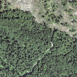 Satellite imagery of Goldegg, CH